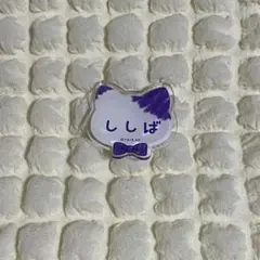 SAKAMOTODAYS ネームバッジ