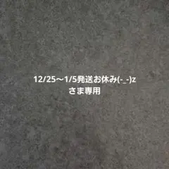 12/25～1/5発送お休み(-_-)zさま専用