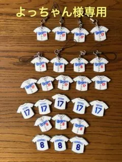 よっちゃん様専用