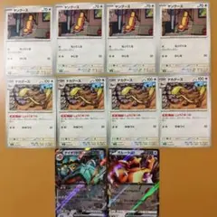 各４枚　デカグース　しょうこあつめ　ヤングース　進化ライン　２枚　ＲＲ