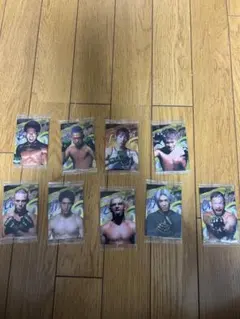 Item thumbnail for item 86f4aeaa-869a-44a6-96af-c2cb93f01290