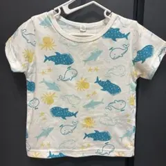 海洋生物デザイン Tシャツ