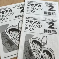 ワセアカチャレンジテスト　小学2年生 2025年6月　早稲田アカデミーのサムネイル