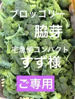 ☆ご専用☆ブロッコリーの脇芽、宅急便コンパクト