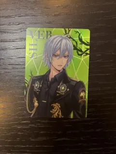 ꒰*꒱様 ツイステ オーロラカード シルバー