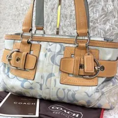 COACH HANDBAG Signature y2k archive 00s
