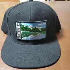 Item thumbnail for item 3fc3216d-eab7-4c7a-bdaf-38ca1f374d99