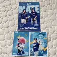 中日ドラゴンズ 竜ブロマイド 石井雄太&大野雄大 パオロン&大野雄大