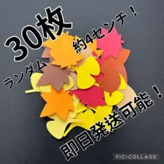 落ち葉　ランダム30枚セット　9月　10月　製作キット