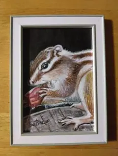 シマリス 水彩画 手描き原画（フレーム付き）