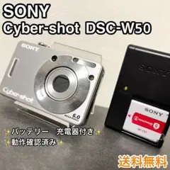 2026年最新】SONY DSC-WX50 ケースの人気アイテム - メルカリ