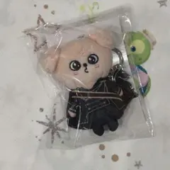 SKZ-X ぬいぐるみ スンミン stray kids スンミン ぬいぐるみ 20cm 新品 マスター - メルカリ