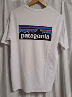 古着 patagonia パタゴニア Tシャツ 白系 メンズMサイズ