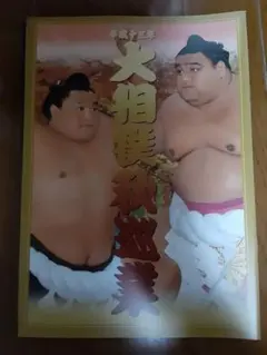 2026年最新】大相撲 巡業 パンフレットの人気アイテム - メルカリ