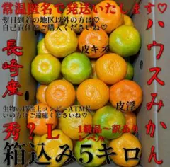 甘くて♡美味しい♡❤️ハウスみかん❤️1級品〜訳ありレベル❤️ Lサイズ❤️5キロ❤️のサムネイル