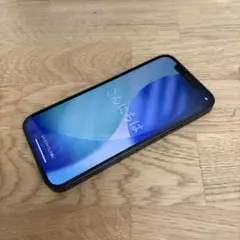 【美品】iPhone 12 ブラック 64GB / SIMフリー