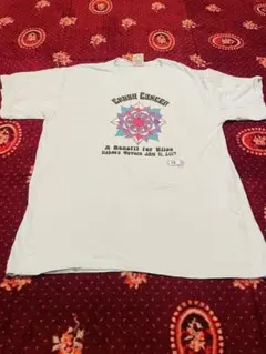 COMFORT COLORS Tシャツ ライトブルー L