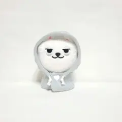 2025年最新】Tomorrow x together スビン ぬいぐるみの人気アイテム