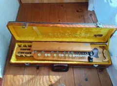 2025年最新】大正琴ピックの人気アイテム - メルカリ