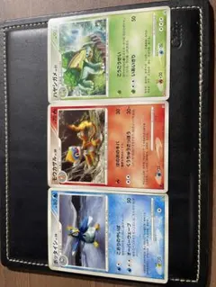 ポケモンカード ハヤシガメ ポッタイシ モウカザル 3枚セット ポケモンカード ハヤシガメ モウカザル ポッタイシ 3枚セット - メルカリ