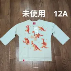 ojico 恐竜プリント カットソート レーナー 七分袖 12Aのサムネイル