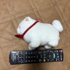 忠犬　もちしば　ぬいぐるみ