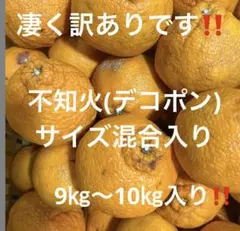 有田みかん　純宝丸　凄く訳あり 不知火（デコポン）サイズ混合9kg〜10kg入り