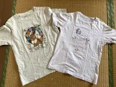 ポケモン 半袖Tシャツ　140〜150サイズ