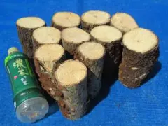 Item thumbnail for item e521be3d-3f90-446b-b444-90c2dc6b6842