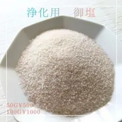 浄化用御塩 清め塩☆100g 厄除け 厄祓い 浄化 掃除 携帯用 盛り塩 あら塩