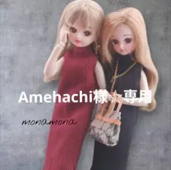 Amehachi様☆専用画面です