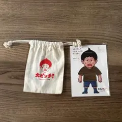 大ピンチずかん 巾着袋 へんなふくカード セット