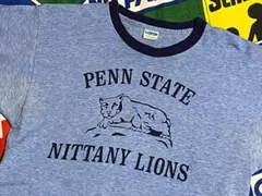 USA製アメリカ製チャンピオンビンテージプリントTシャツ70s70年代バータグ