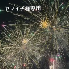 ヤマイチ様専用商品