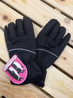 Item thumbnail for item a734a888-0c35-4739-932d-24d1a35feb52