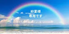 JUN SKY WALKER(S)アルバム14枚シングル白いクリスマス合計15枚 - メルカリ