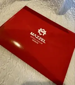 mazzel ミュージシャン