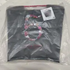 ボール＆チェーン 未使用未開封 ノベルティ バッグ 非売品