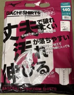 Item thumbnail for item 2fd148f0-8a84-4711-95bf-866e4d7761eb