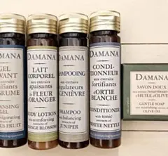 Item thumbnail for item 41832fdc-6bde-409e-9508-ce9f2deeb7c0