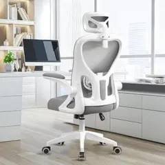 [EdoErgo] オフィスチェア 椅子 テレワーク 疲れない 勉強 学習