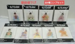 &TEAM アクリルキーチェーン 全9種コンプセット colorful Ⅸ
