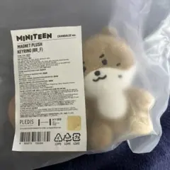 ミニティーン ディノ チャンダリ ぬいぐるみSEVENTEEN プラッシュトイ