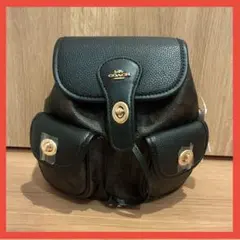 Item thumbnail for item 909fd55d-bebb-4d95-8a07-68ac70458eaf