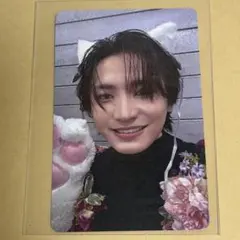 ☆未使用☆原因は自分にある。桜木雅哉 猫なでてトレカ FC継続特典 新規入会特典 原因は自分にある。 げんじぶ 桜木雅哉 猫なでてトレカ FC継続特典