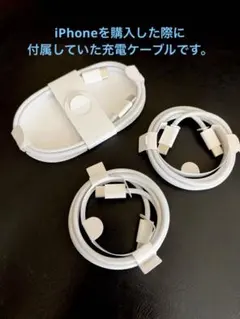 Apple 純正品 USB-C 充電ケーブル 3本セット CtoC iPhone