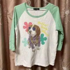 BEAMSBOY 犬プリント 五分袖Tシャツ