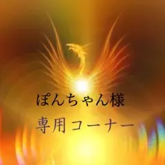 ぽんちゃん　様専用