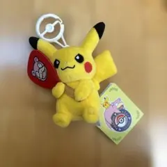 ポケモンセンターカガワ ピカチュウ×ヤドン カラビナ付きぬいぐるみ