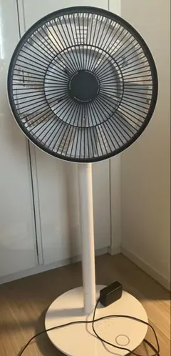 ジャンク品】BALMUDA GreenFan2+ EGF-1200-WN限定色 - メルカリ